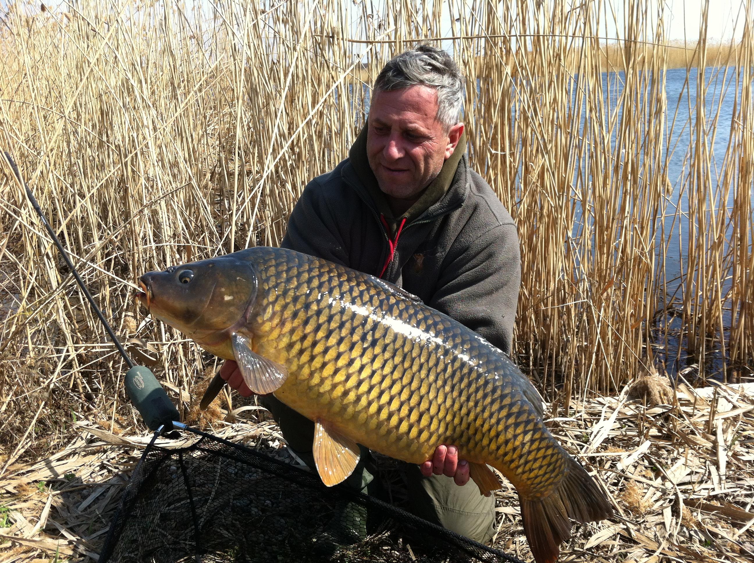 Tancabesti 2012 - aprilie 2012 009.JPG